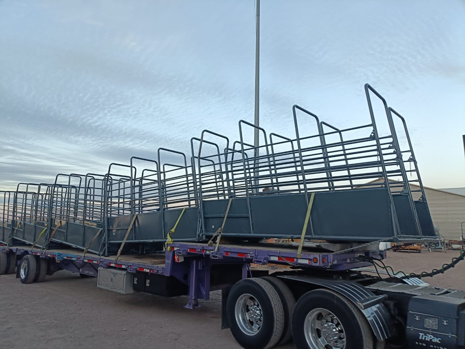 Cattle Loading Chute thumbnail 2